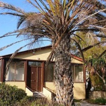 Summerhouse Peggy: Close To Athens Airport By The Sea Αρτέμιδα Εξωτερικό φωτογραφία