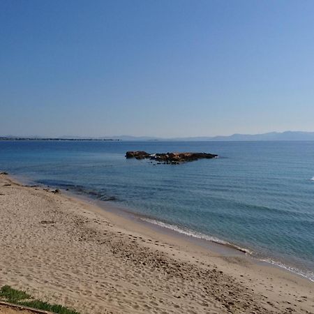 Summerhouse Peggy: Close To Athens Airport By The Sea Αρτέμιδα Εξωτερικό φωτογραφία