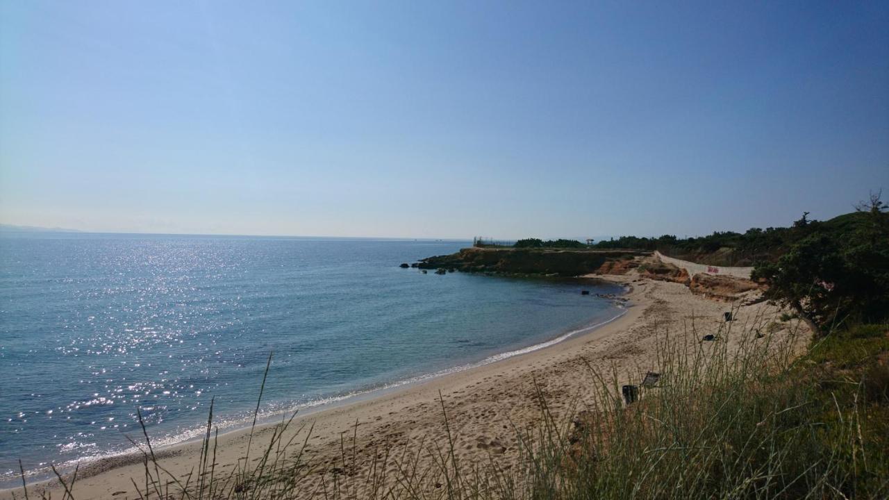 Summerhouse Peggy: Close To Athens Airport By The Sea Αρτέμιδα Εξωτερικό φωτογραφία
