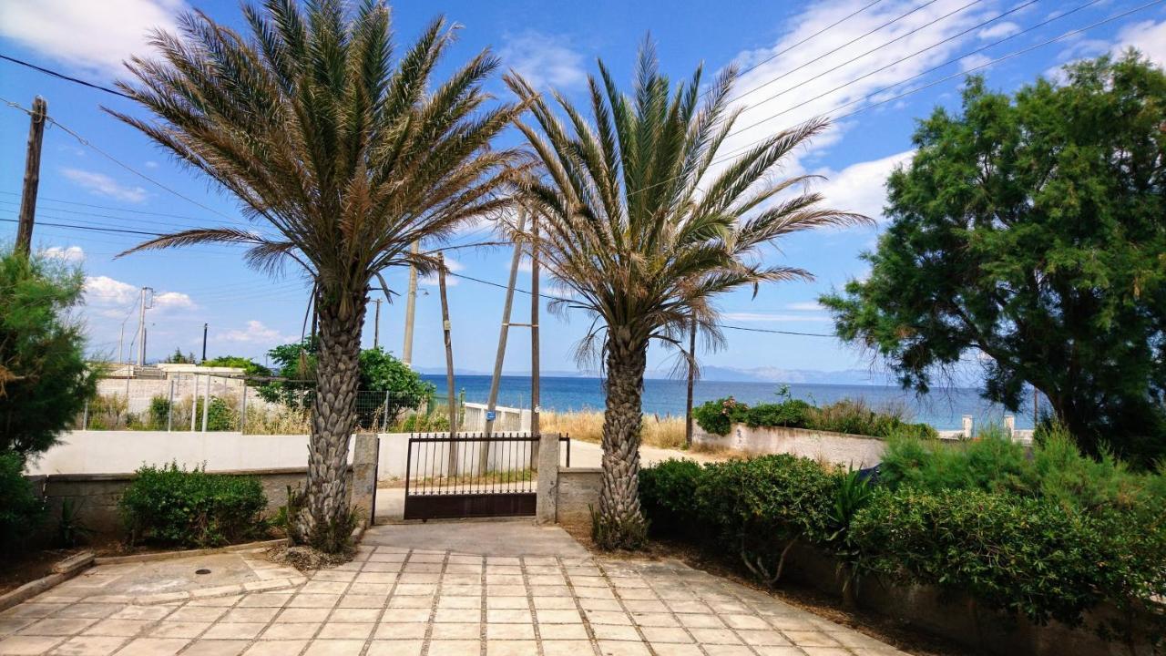 Summerhouse Peggy: Close To Athens Airport By The Sea Αρτέμιδα Εξωτερικό φωτογραφία